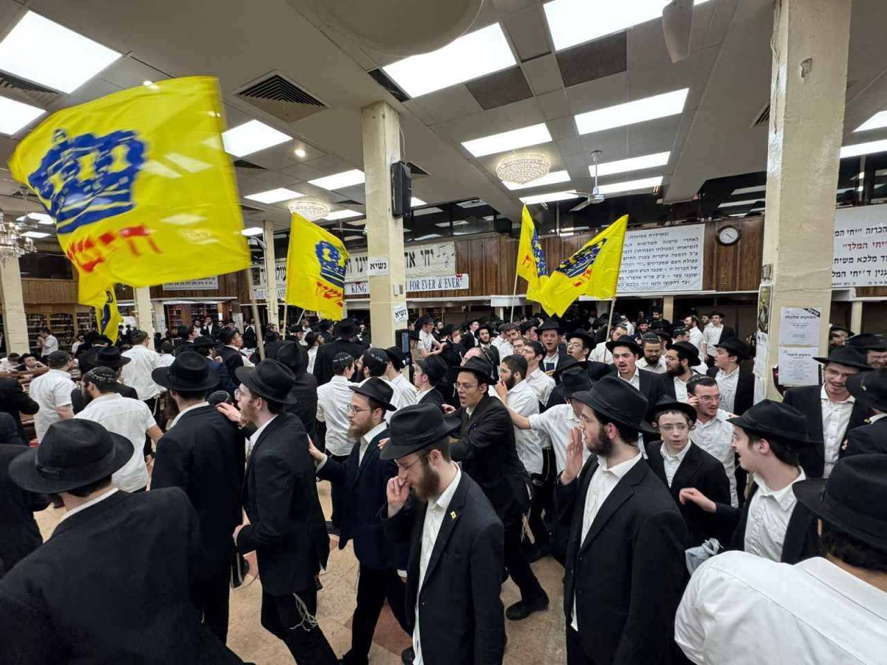 הגלריה השבועית - שבוע פרשת צו ב-770